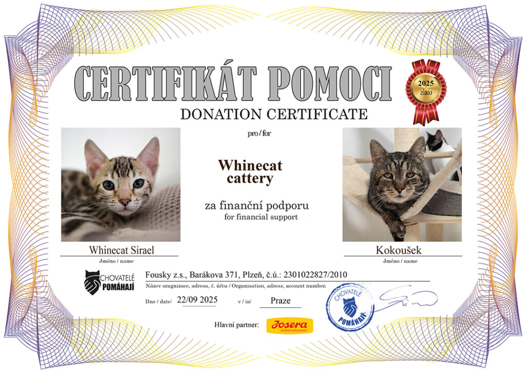 Sirael – Kokoušek