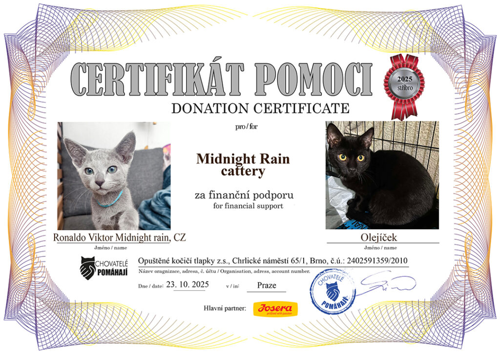 Ronaldo – Olejíček