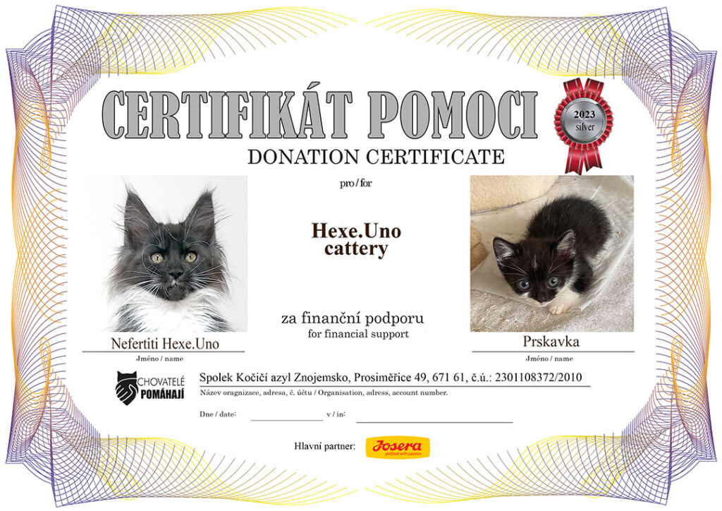 Nefertiti – Prskavka