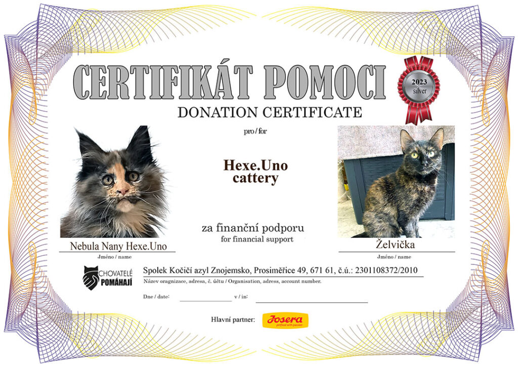 Nebula Nany – Želvička