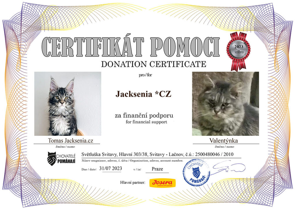 Tomas – Valentýnka