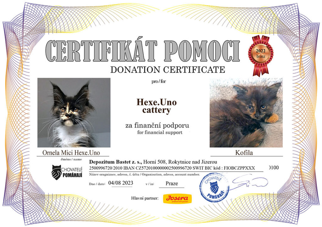 Ornela Mici – Kofila