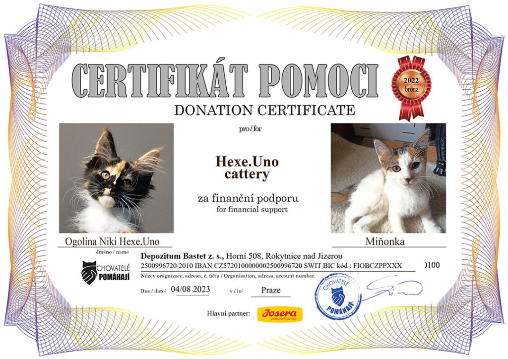 Ogolína Niki – Miňonka