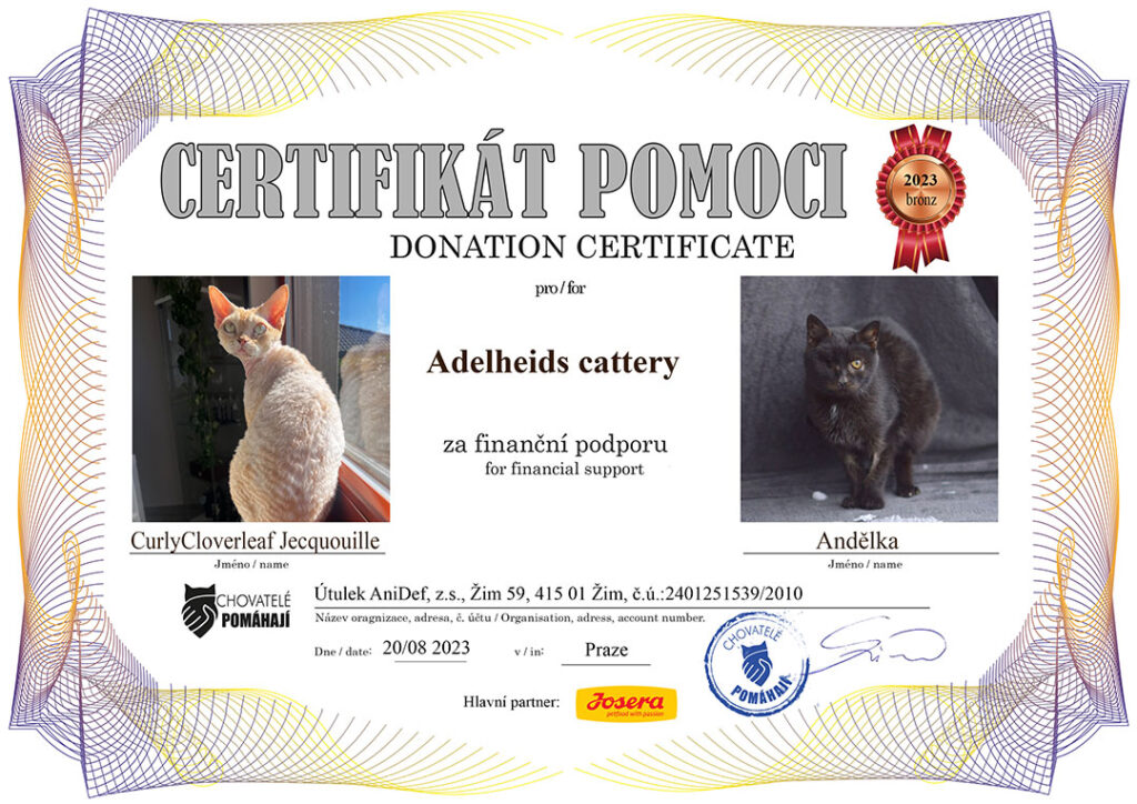 Curly Cloverleaf Jecquouille – Andělka