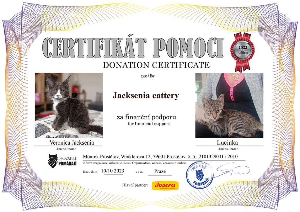 Veronica – Lucinka