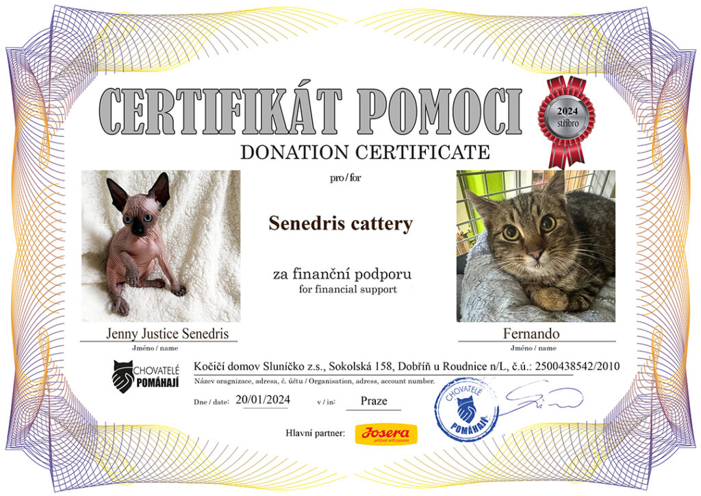 Jenny Justice – Fernando