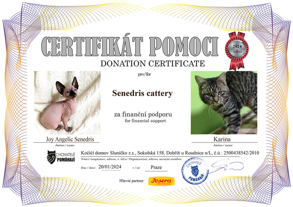 Joy Angelic – Karina