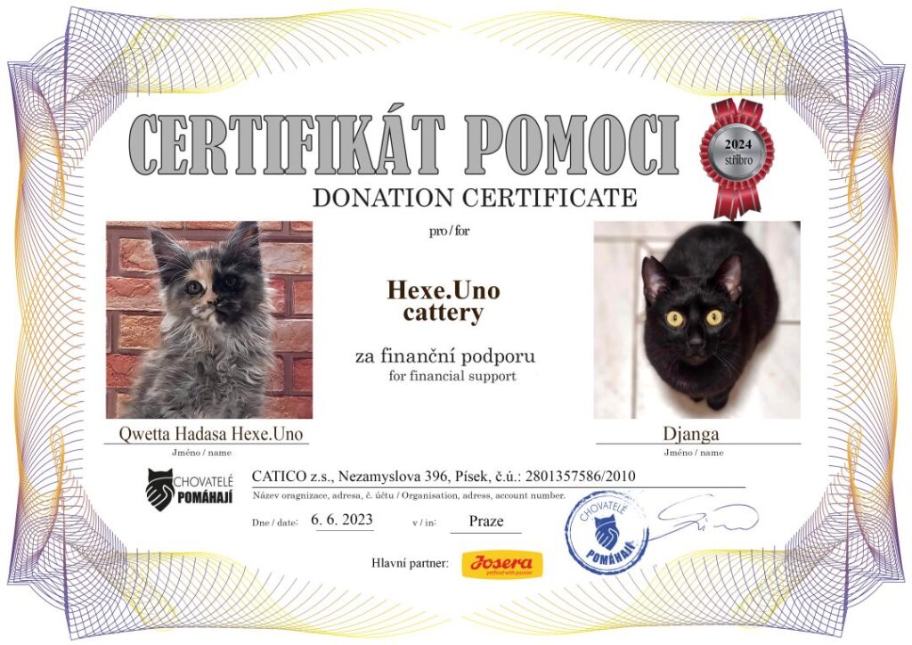 Qwetta Hadasa – Djanga