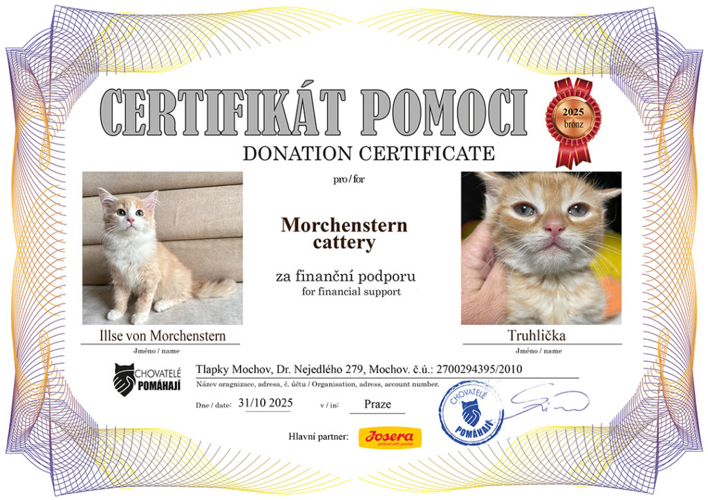 Illse – Truhlička