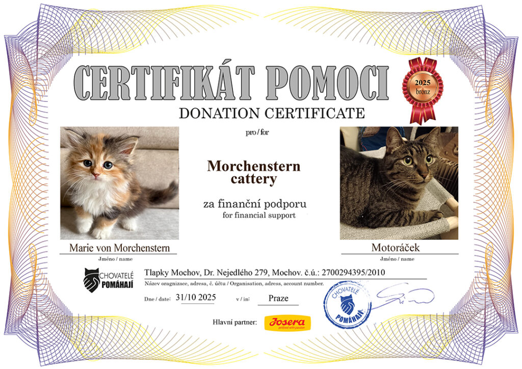 Marie – Motoráček